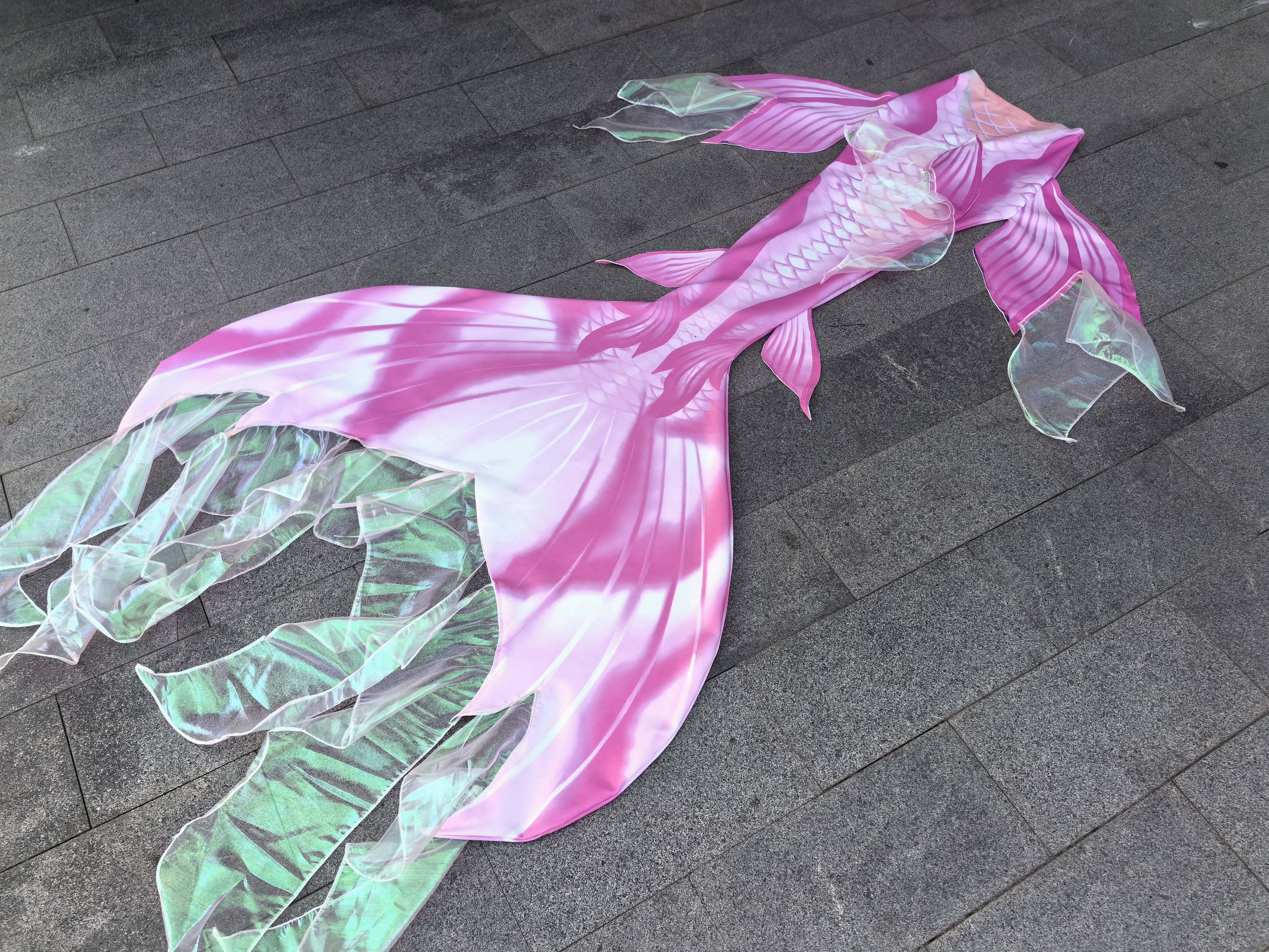 Mermaid Tail Swimsuit Aquarium - Aquarium & Marine Museum Universiti Malaysia Sabah Kota Kinabalu Sabah Reviews reseña y precio
