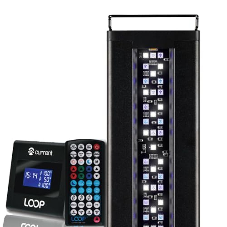 USA 24-36 Inch Orbit Marine LE - Marine Aquarium Hours reseña y precio