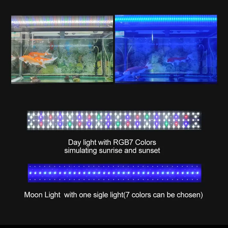 SIROKA High Quality IP68 Water - Marine Aquarium Hours reseña y precio