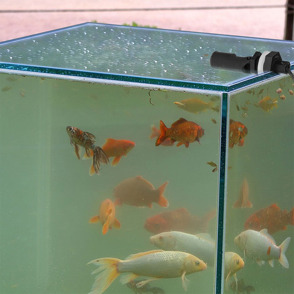 3Pcs Easy Install Plastic Side - Aquarium & Marine Museum Universiti Malaysia Sabah Kota Kinabalu Sabah Reviews reseña y precio