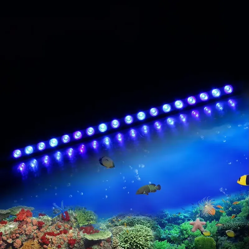 Dimmable Timing LED Aquarium L - Marine Aquarium Hours reseña y precio