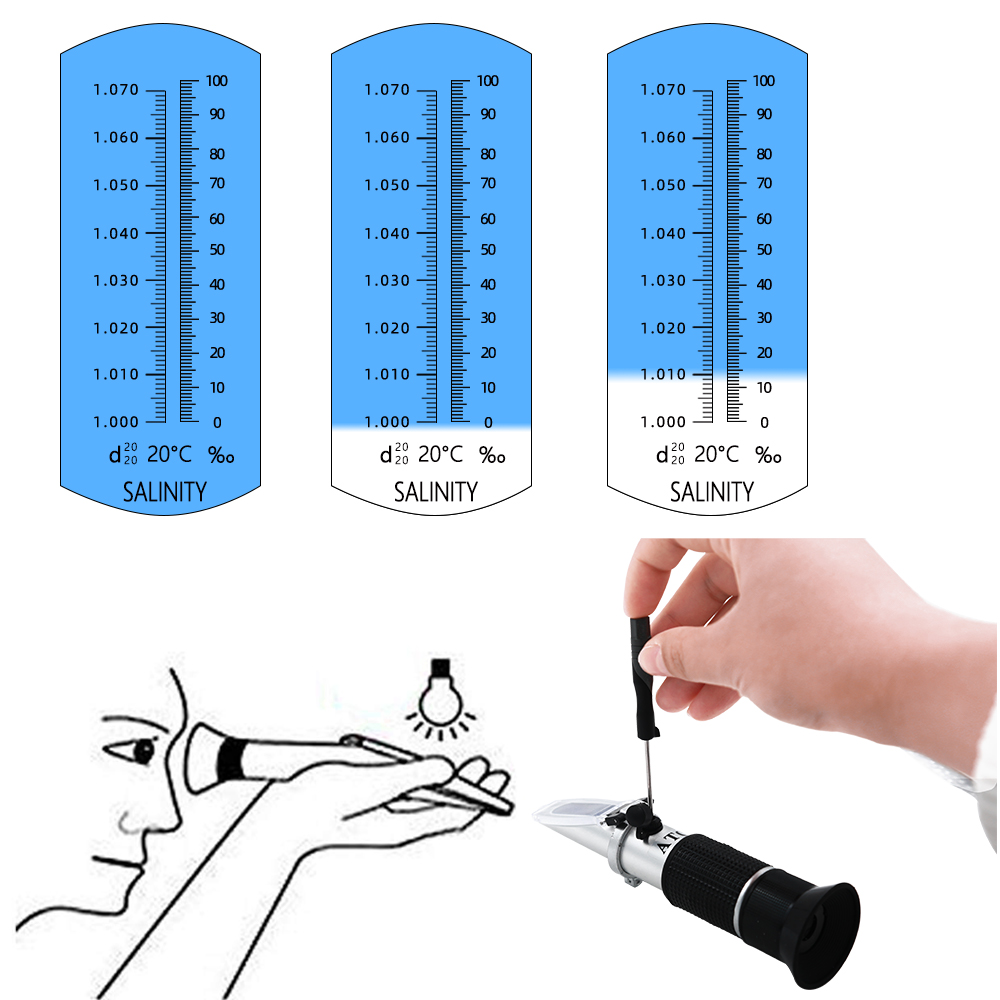 Salinity Refractometer 0-10% 1 - Refractometer Salinity reseña y precio