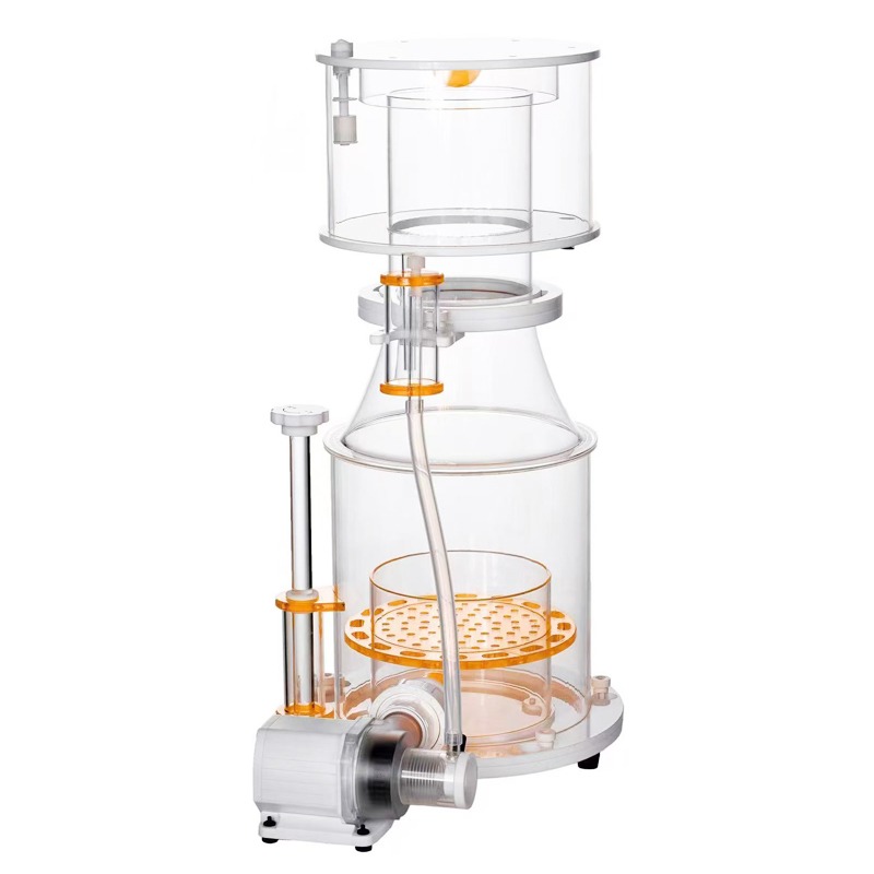 【Best-selling】DC Powered Preci - Aquarium & Marine Museum Universiti Malaysia Sabah Kota Kinabalu Sabah Reviews reseña y precio