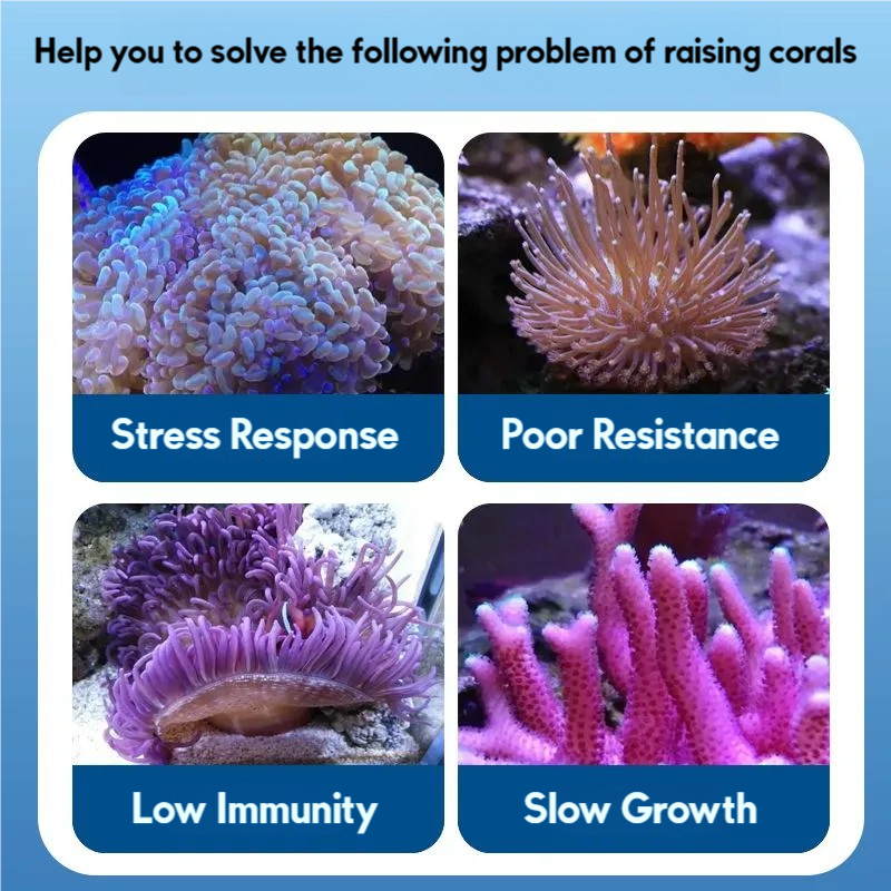 Coral Polyps Liquid Food Coral - Coral Food Liquid reseña y precio