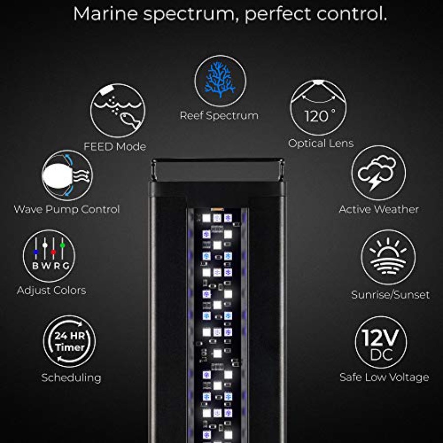 USA 48 - 60 Inch Orbit Marine  - Marine Aquarium Hours reseña y precio