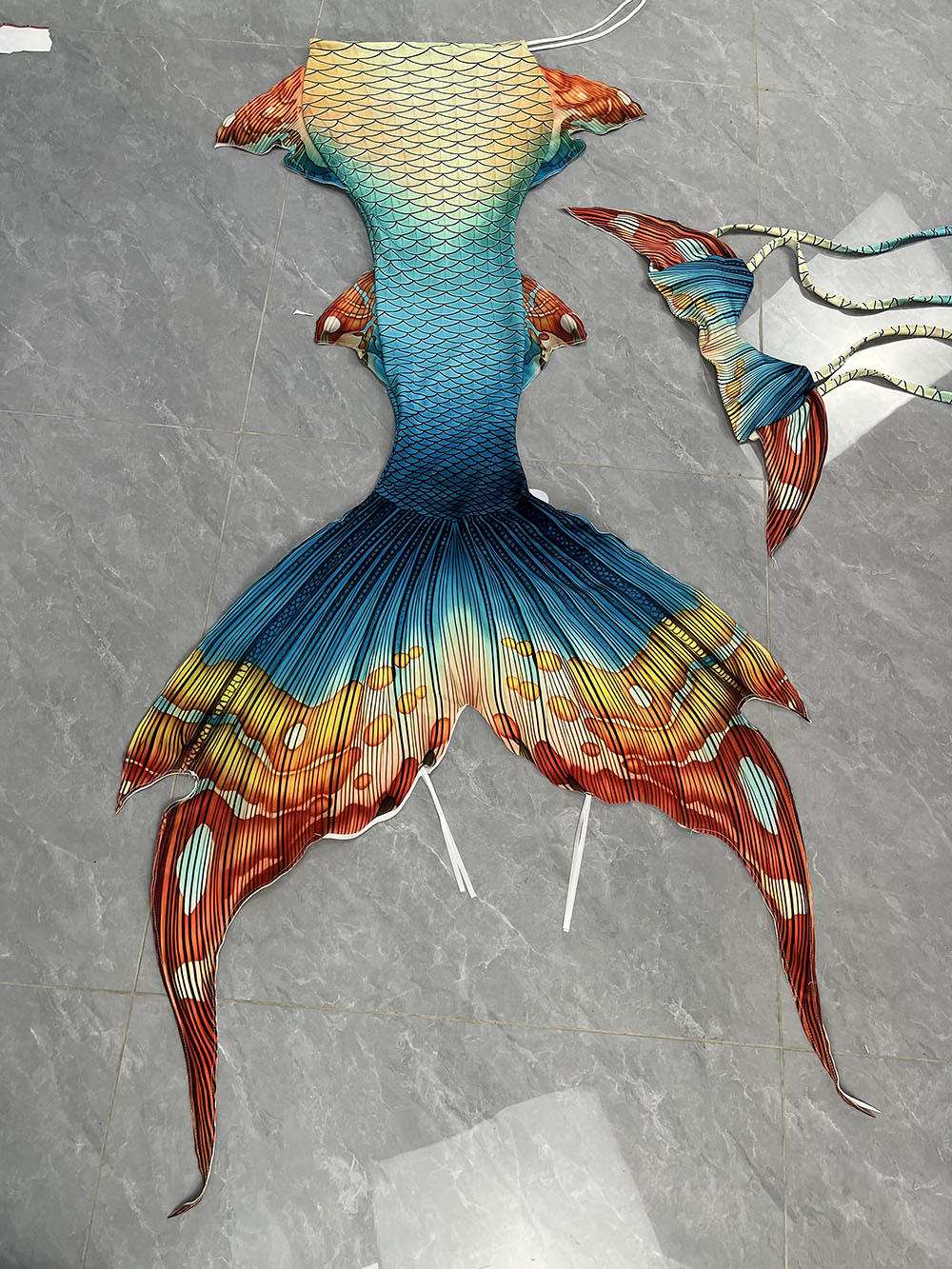 New Pattern Mermaid Tail Merma - Aquarium & Marine Museum Universiti Malaysia Sabah Kota Kinabalu Sabah Reviews reseña y precio