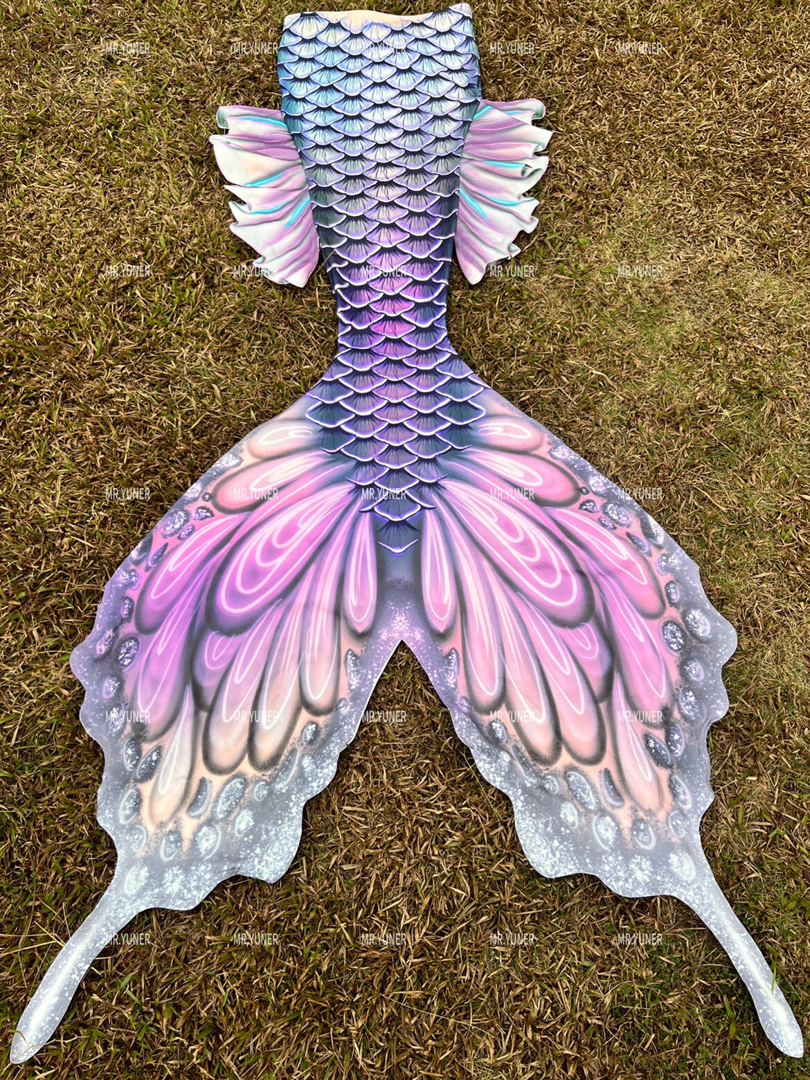 Butterfly Australian Fins Merm - Aquarium & Marine Museum Universiti Malaysia Sabah Kota Kinabalu Sabah Reviews reseña y precio