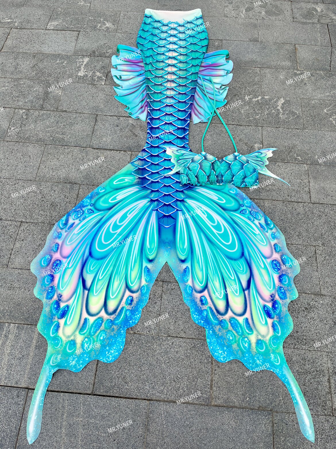 Butterfly Australian Fins Merm - Aquarium & Marine Museum Universiti Malaysia Sabah Kota Kinabalu Sabah Reviews reseña y precio