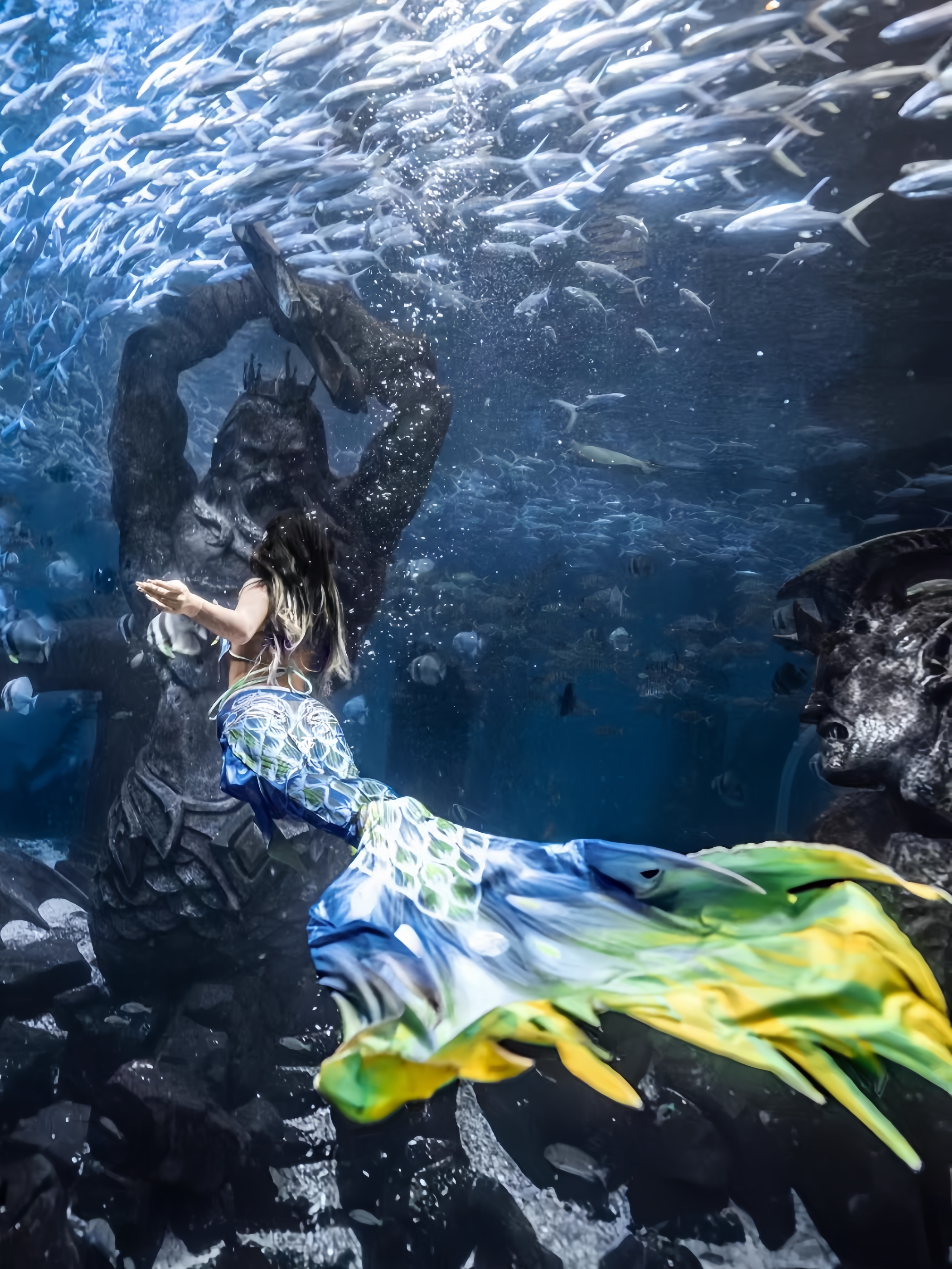 Mermaid Tail Adult Ladies Swim - Aquarium & Marine Museum Universiti Malaysia Sabah Kota Kinabalu Sabah Reviews reseña y precio